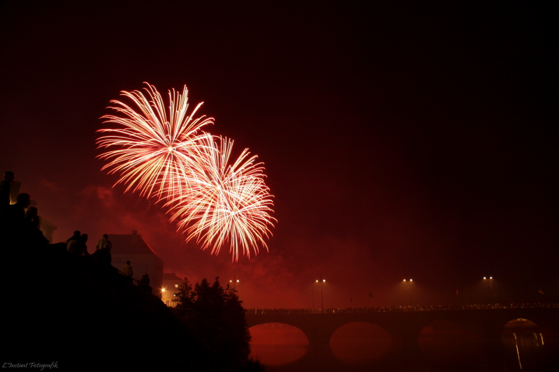 14 Juillet Roanne 029_800x600