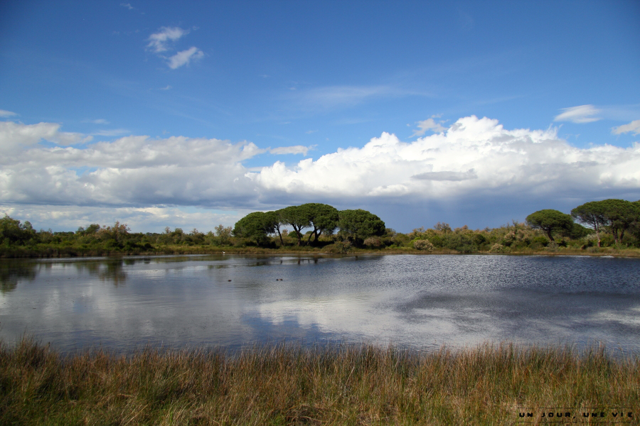 Le Boucanet