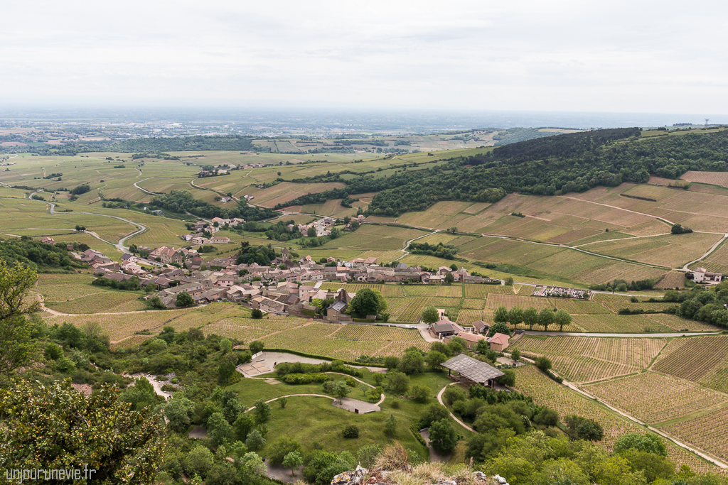 Solutré-Pouilly