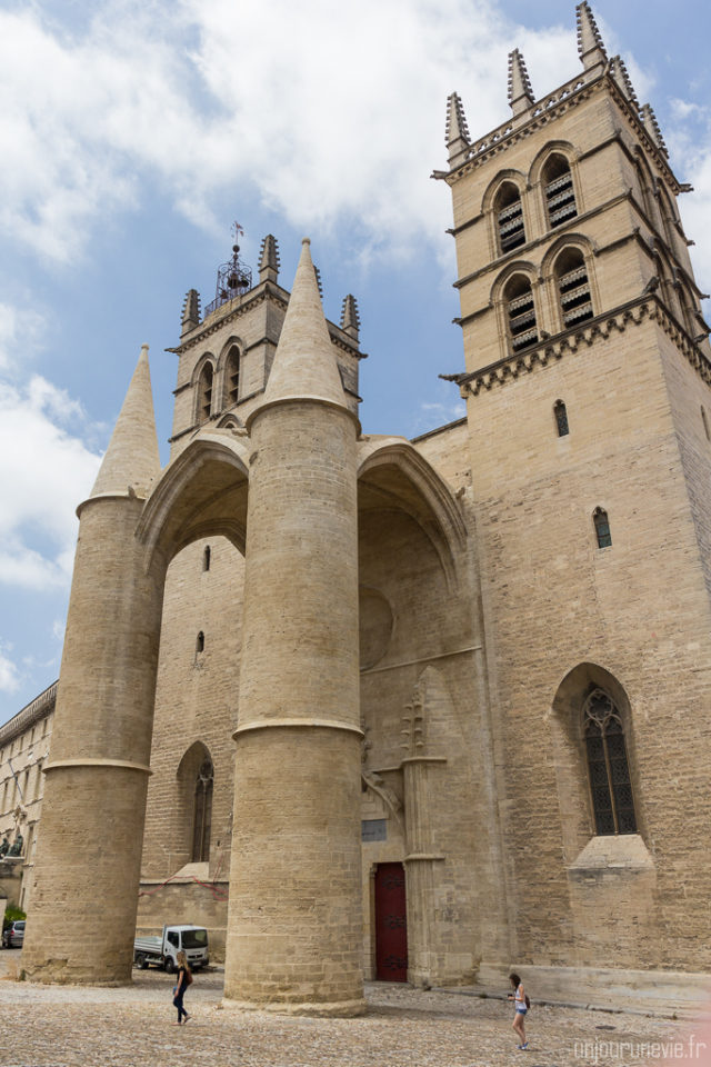 Cathédrale Saint-Pierre - Montpellier