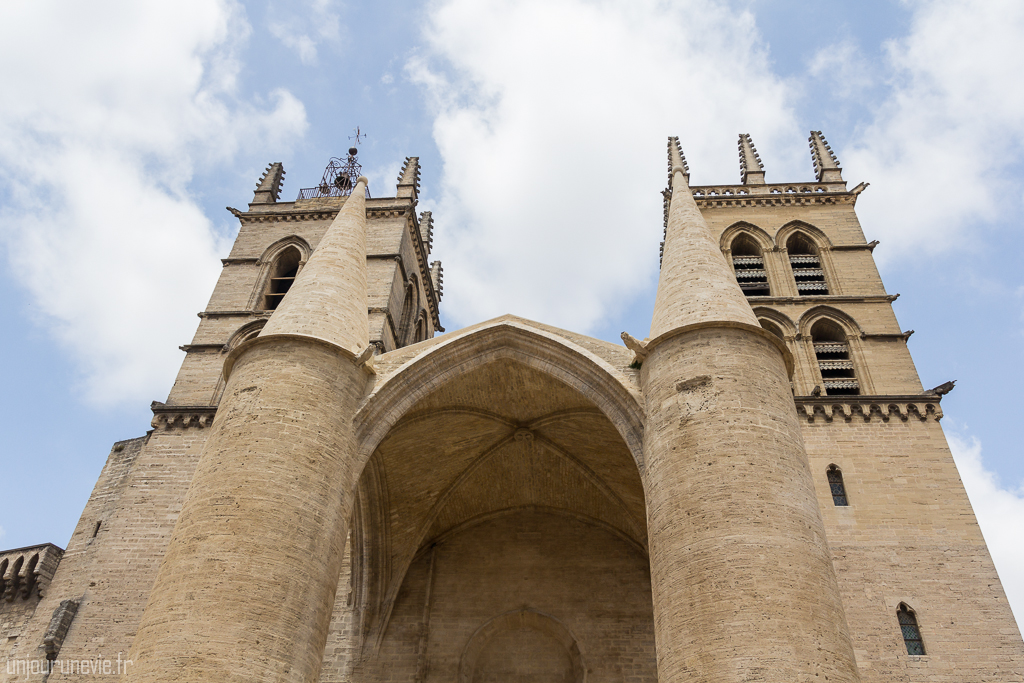 Cathédrale Saint-Pierre - Montpellier