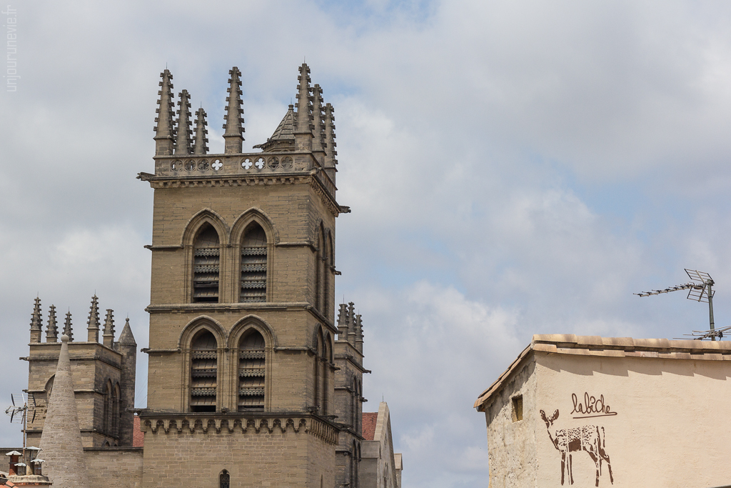 Cathédrale Saint-Pierre - Montpellier