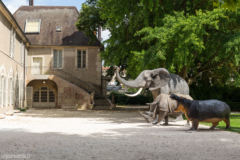 Jardin de l'Arquebuse