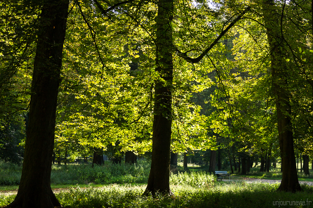 Parc de la Colombière