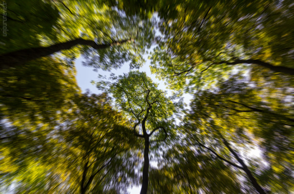 Parc de la Colombière