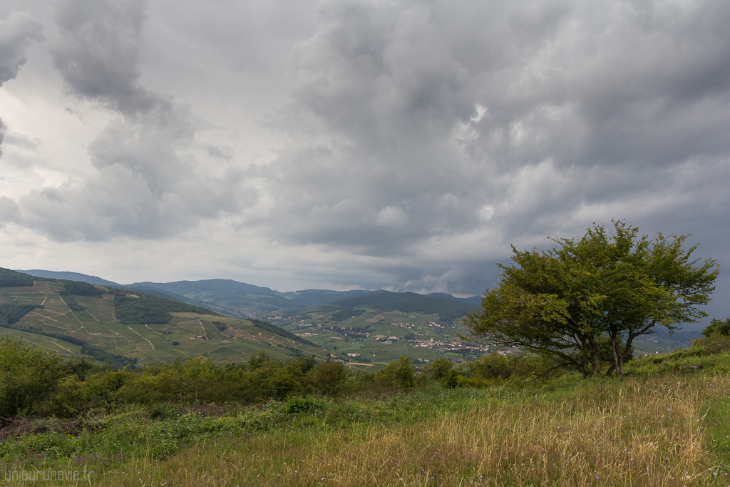 Mont Brouilly