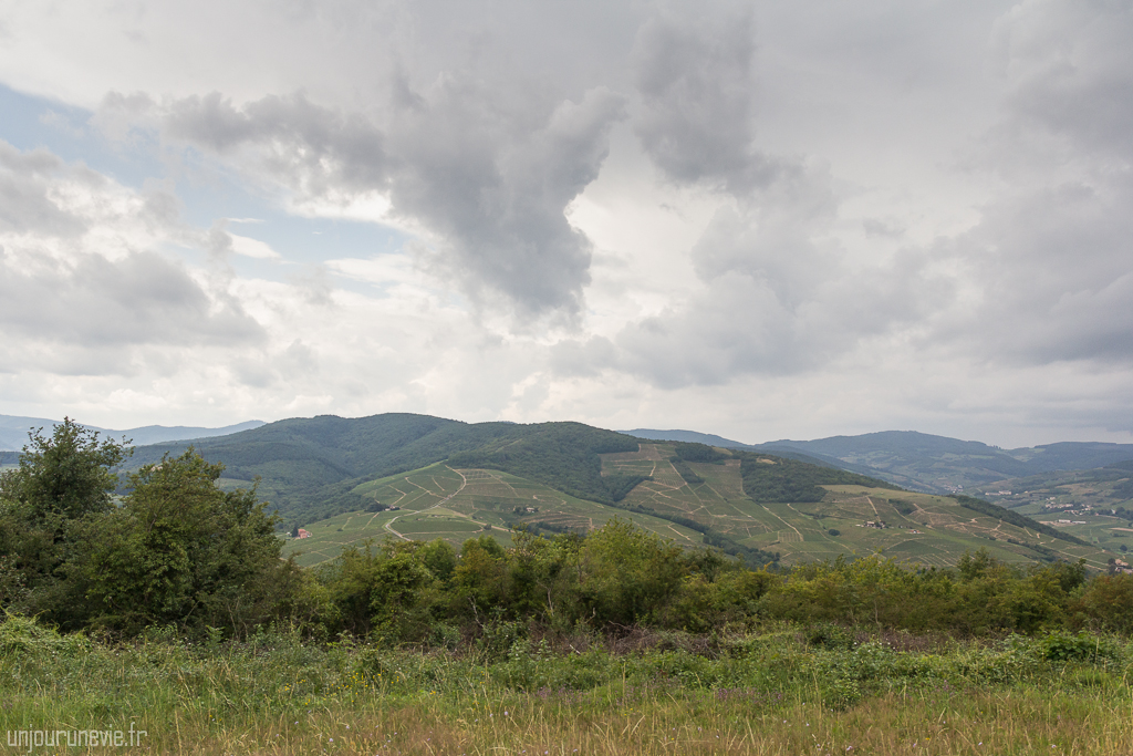 Mont Brouilly