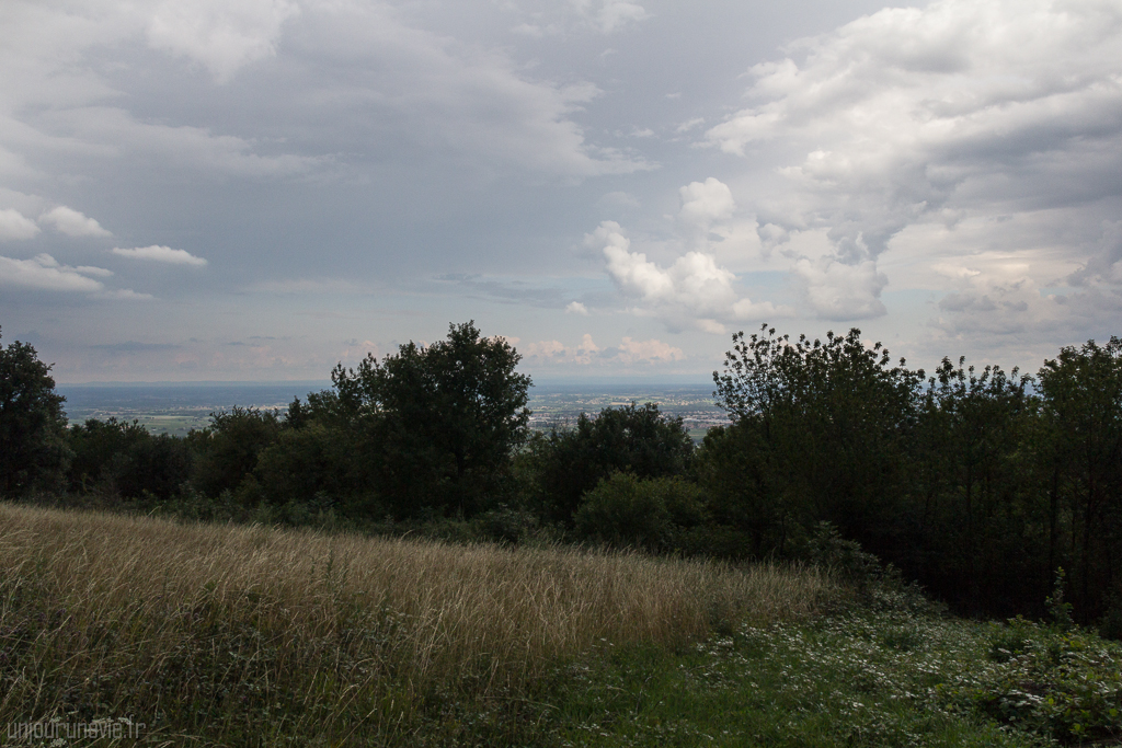 Mont Brouilly