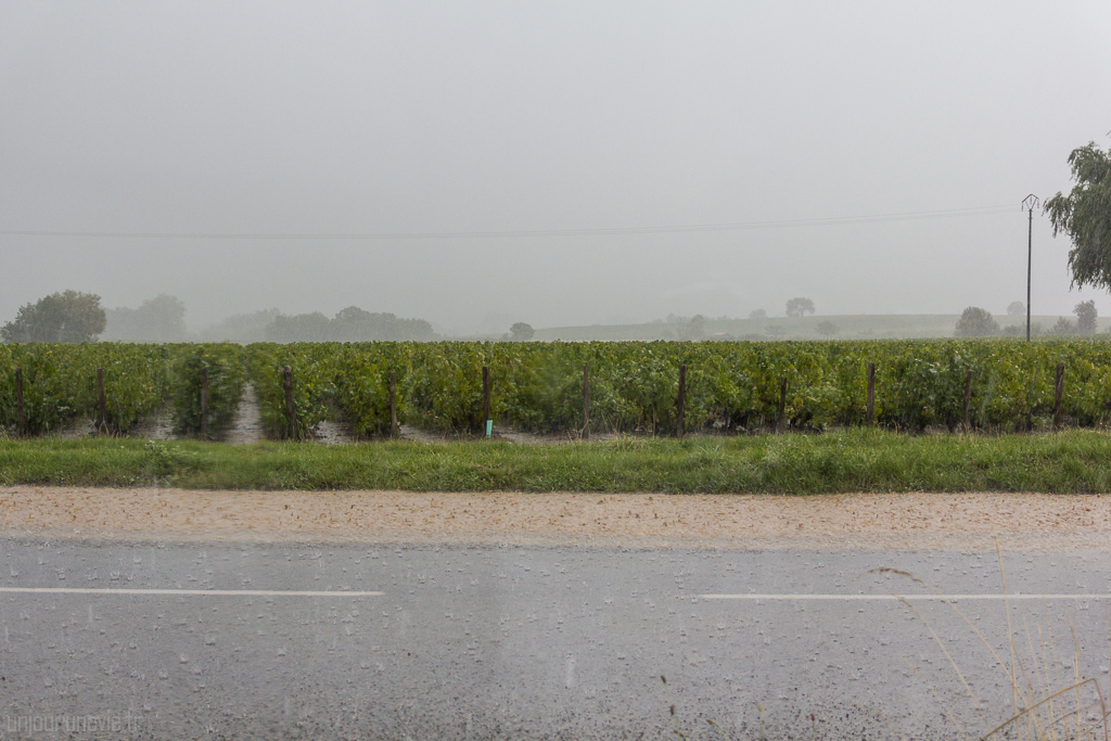 Mont Brouilly Mont Brouilly