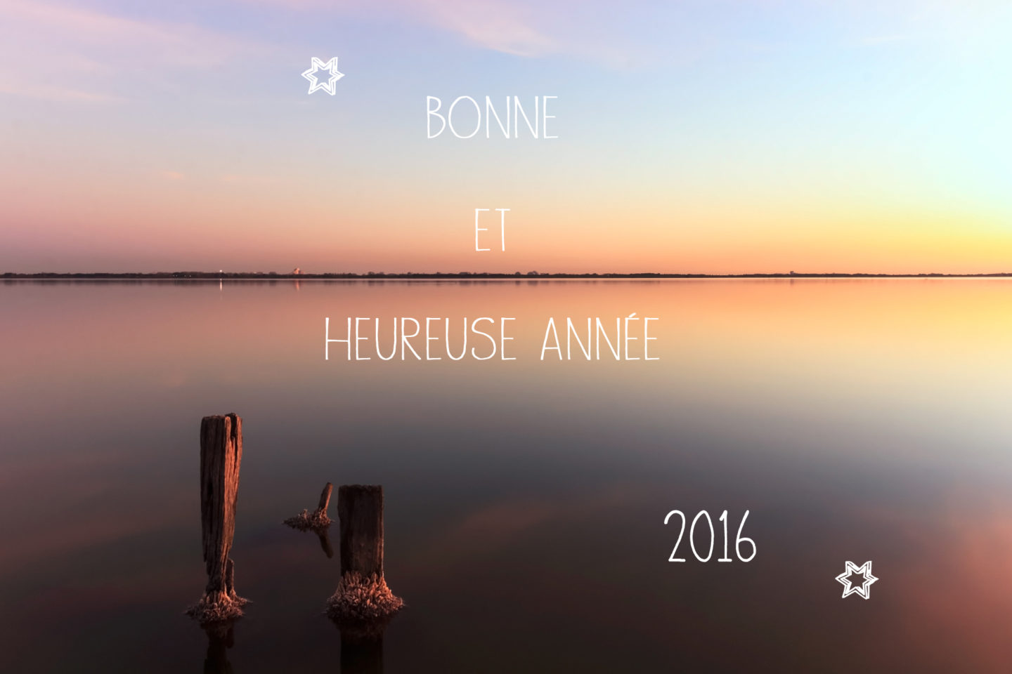 Bonne année 2016