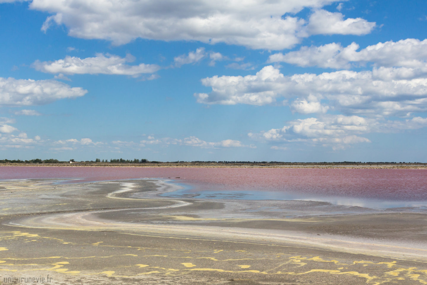 Salins Aigues-Mortes_0093