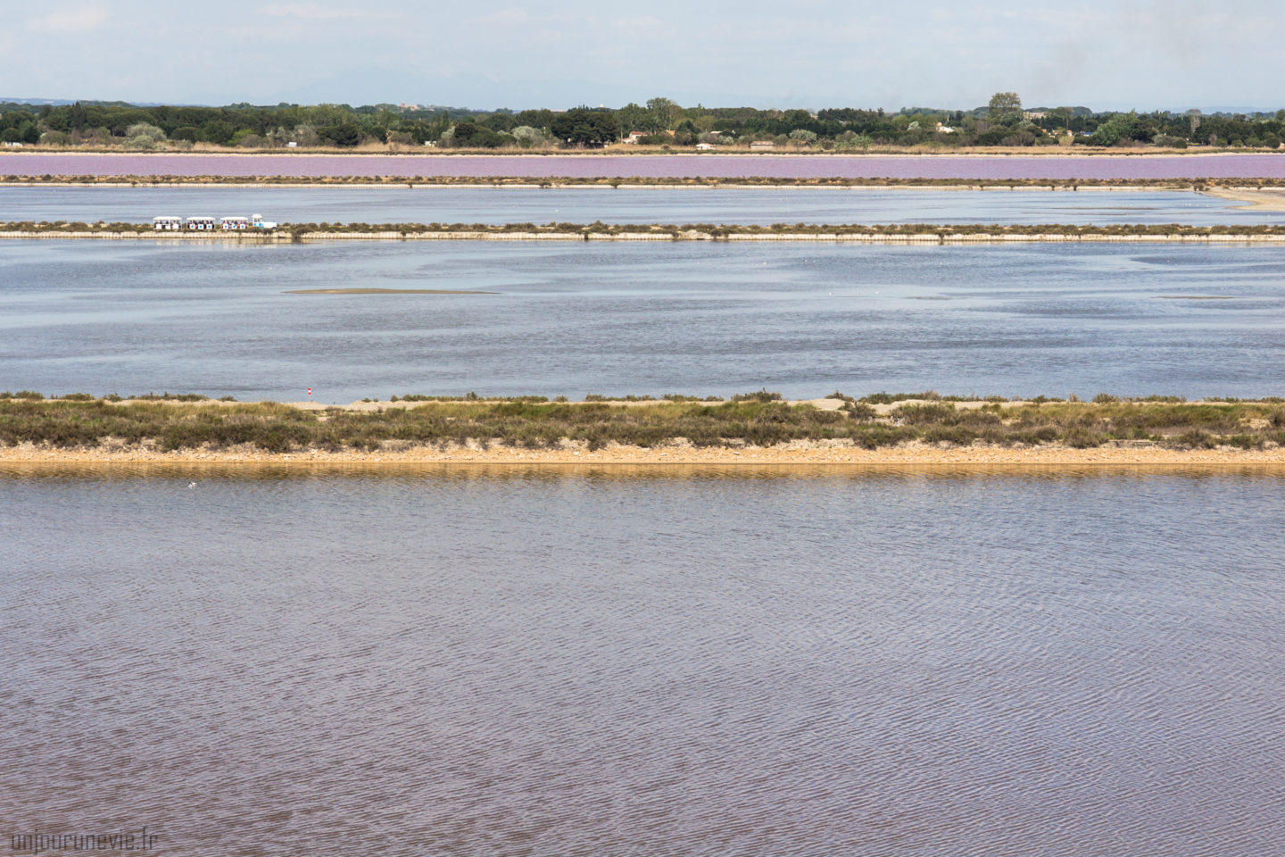 Salins Aigues-Mortes_0113