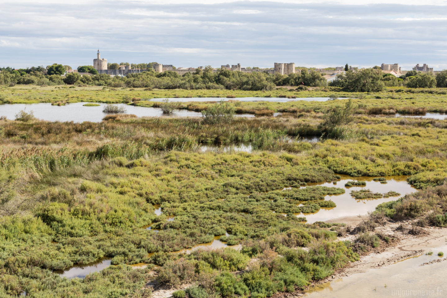 sentier-de-la-marette-aigues-mortes